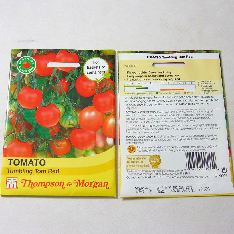 Exemple de spécimen de Tomate Tumbling Tom Red - Tomate-cerise Graines tel que livré