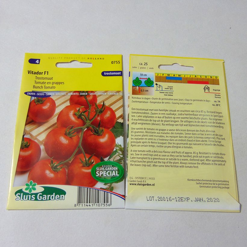 Exemple de spécimen de Tomate Vitador F1 - Tomate grappe Graines tel que livré