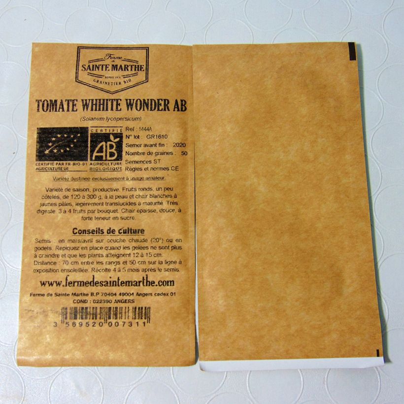 Exemple de spécimen de Tomate White Wonder Bio - Ferme de Sainte Marthe Graines tel que livré