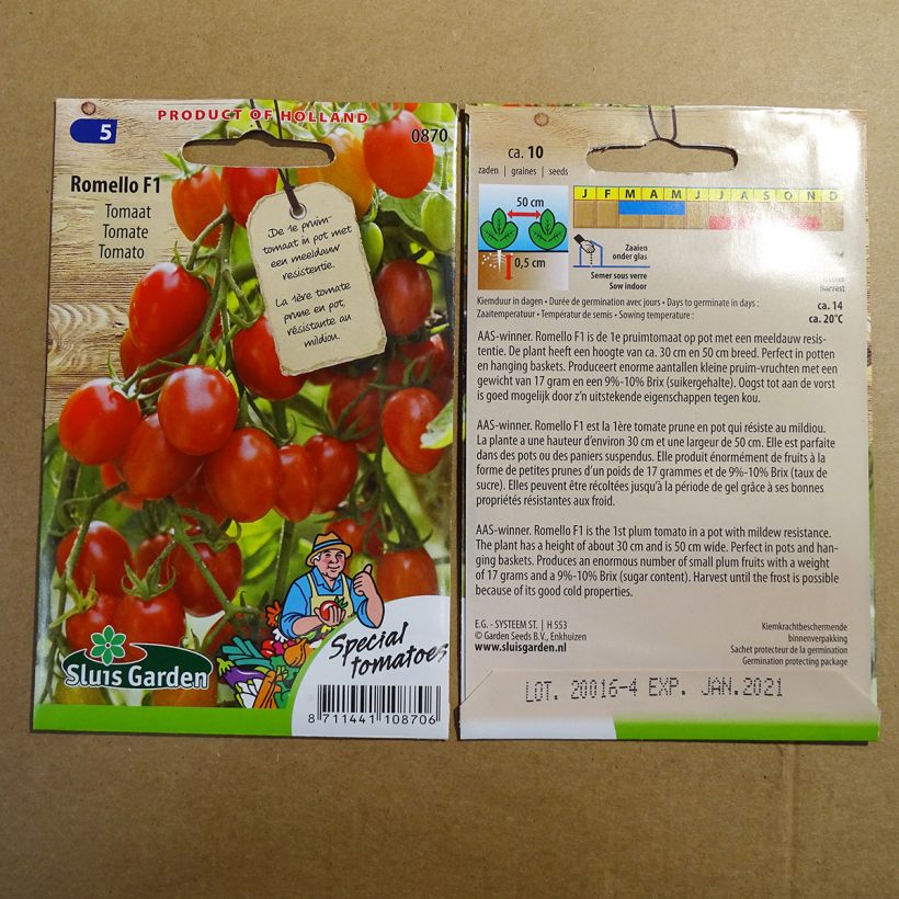 Exemple de spécimen de Tomate cerise Romello F1 tel que livré