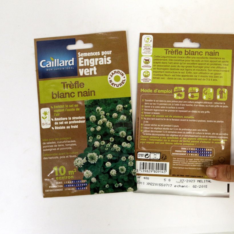 Exemple de spécimen de Trèfle blanc nain - Engrais vert - Boîte 10 m² tel que livré