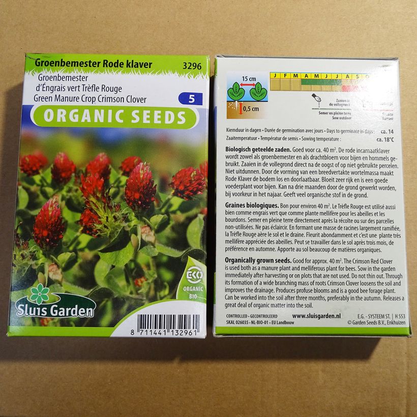 Exemple de spécimen de Trèfle incarnat Bio - Trifolium incarnatum Graines tel que livré