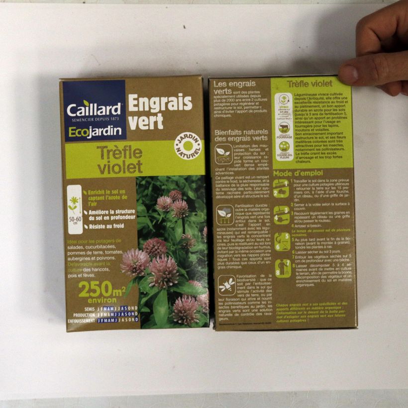 Exemple de spécimen de Tréfle violet 250 m² - Engrais vert Graines tel que livré