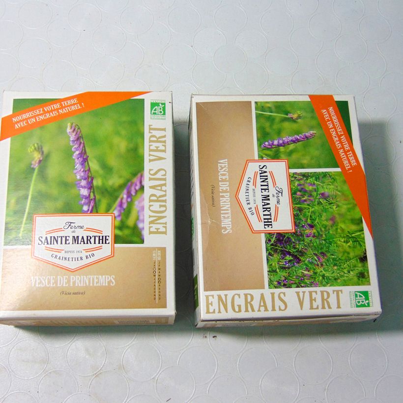 Exemple de spécimen de Vesce de printemps Bio - Engrais vert - Ferme de Sainte Marthe Graines tel que livré