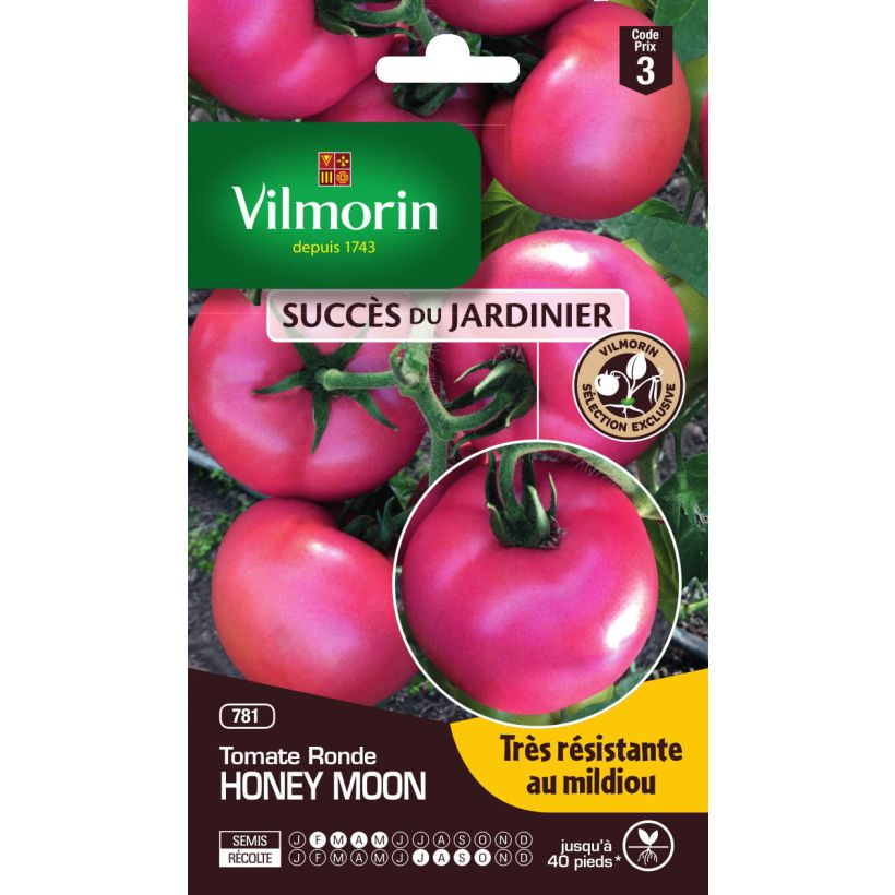 Exemple de spécimen de Tomate Honey Moon F1 Vilmorin tel que livré