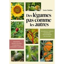 Des légumes pas comme les autres