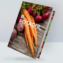 Le Potager - De la graine à l'assiette - le guide
