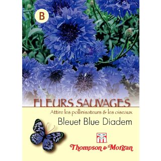 Graines de Centaurée bleuet Blue Diadem - Centaurea cyanus