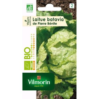 Laitue Batavia de Pierre Bénite Bio - Vilmorin