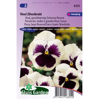Graines de Pensée géante de Suisse Silverbride - Viola x wittrockiana