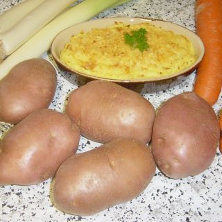 Pommes de terre Desiree - Solanum tuberosum
