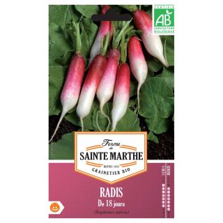 Radis de 18 Jours Bio - Ferme de Sainte Marthe