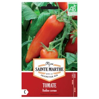 Tomate Cornue des Andes Bio – Ferme de Sainte Marthe