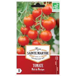 Tomate Miel Du Mexique Bio - Ferme de Sainte Marthe