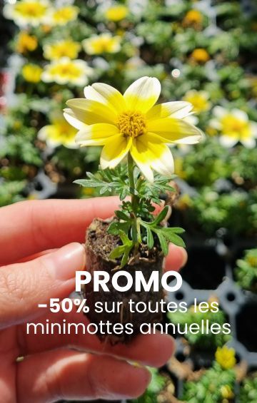 J'en profite !