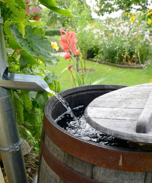 Récupérer l'eau de pluie
