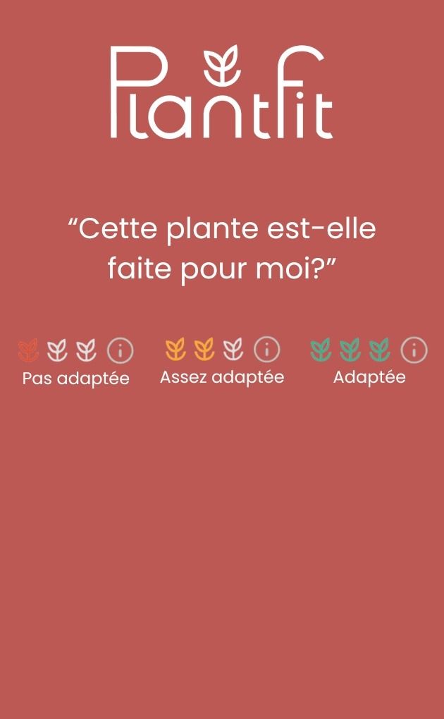 Des conseils personnalisés pour votre jardin