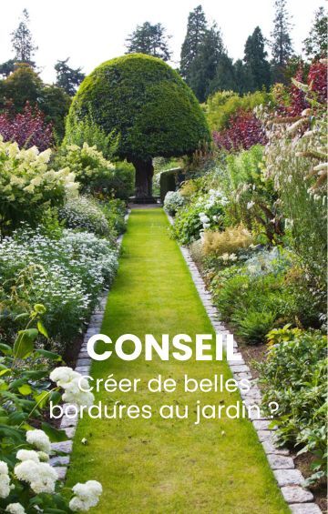 Lire l'article
