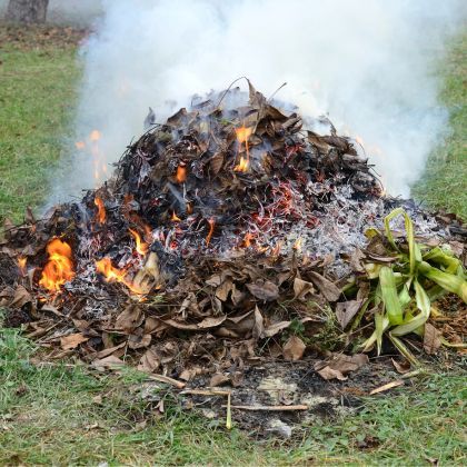 Brûler les déchets verts : que dit la loi ?