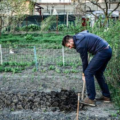 Le calendrier du potager - Mars