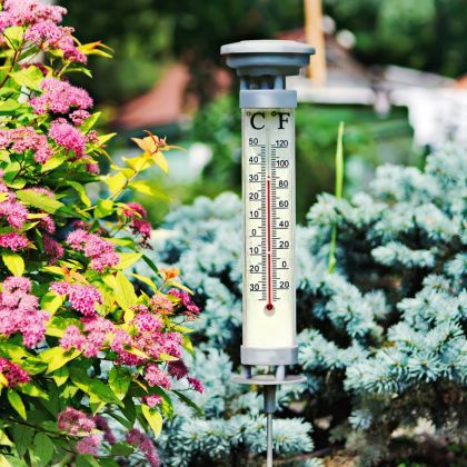 Canicule : 10 conseils pour protéger vos végétaux