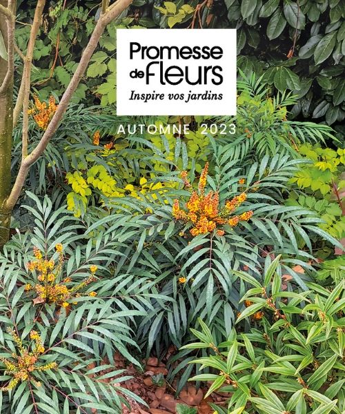 Notre catalogue est en ligne !