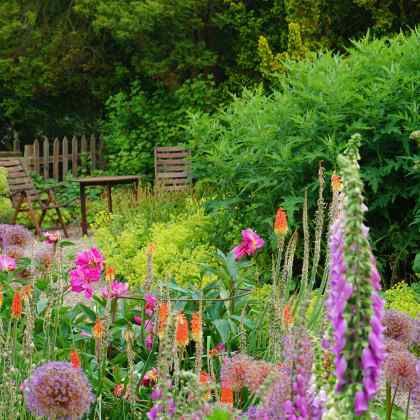 Comment avoir un jardin fleuri et attrayant à la fin du printemps ?