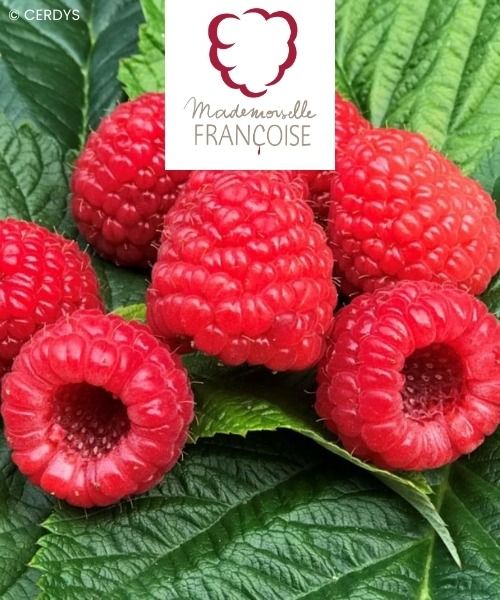 Gagnez un week-end pour 2 ou 100€ de chèques culture !