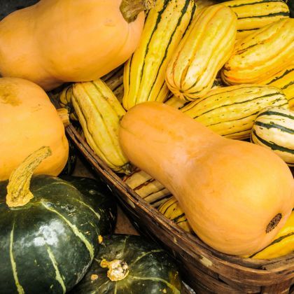 Le calendrier potager - Octobre