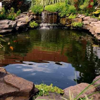 Entretenir un bassin de jardin au printemps