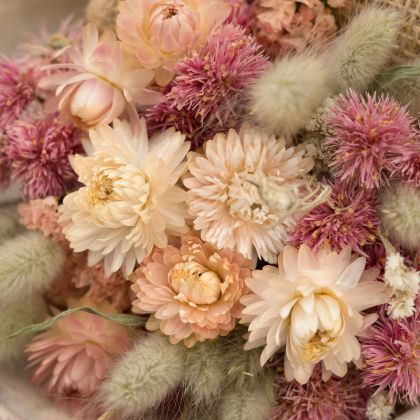 Fleurs séchées : lesquelles choisir, comment les faire sécher et entretenir vos bouquets