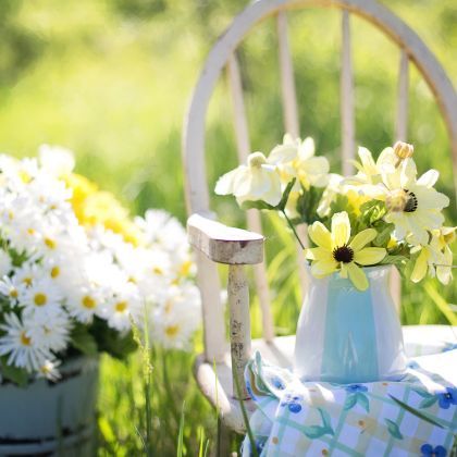 Que faire au jardin en août ?