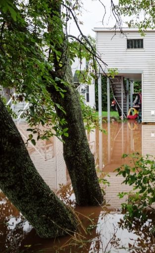Que faire si mon jardin a été inondé ?