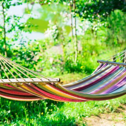 Que faire au jardin en Juillet ?