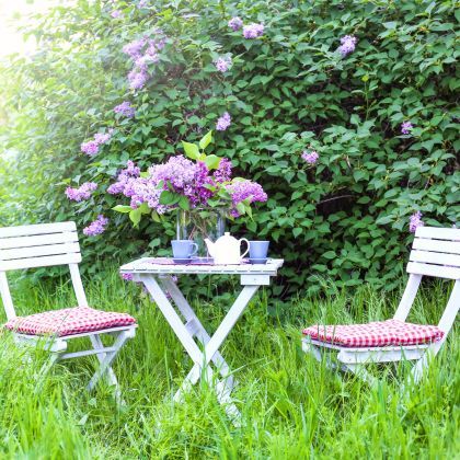 Que faire au jardin en Mai ?