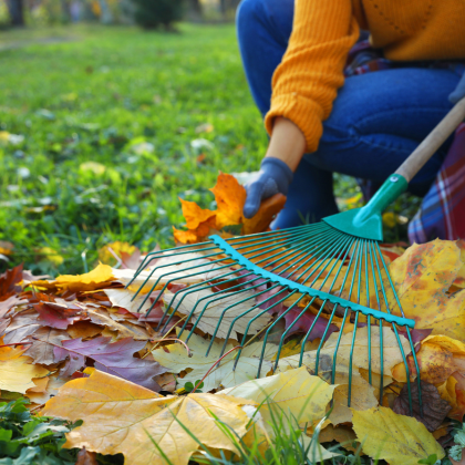 Que faire au jardin en octobre ?