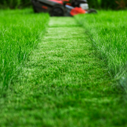 Comment entretenir son gazon au printemps ?