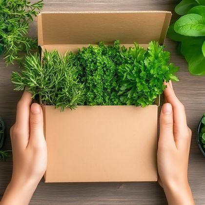 Je viens de recevoir ma commande de plantes : que dois-je faire ?