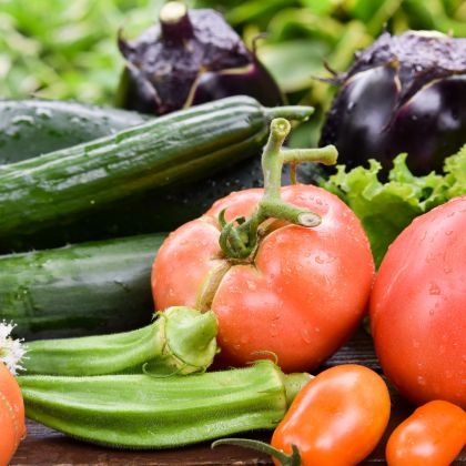 Calendrier potager - Juillet