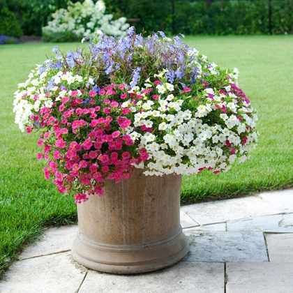 Les engrais pour jardinières et potées : quand et comment les utiliser ?