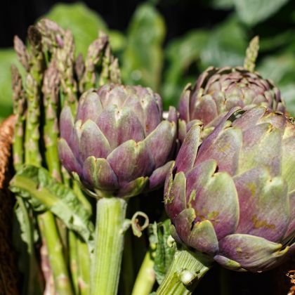 Les légumes à semer et planter en hiver
