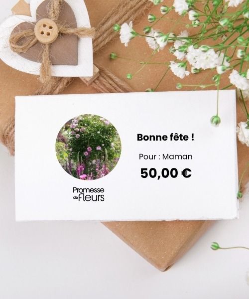 Offrez une carte cadeau à votre maman !