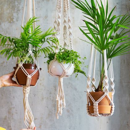 Plantes d’intérieur suspendues : la déco prend de la hauteur