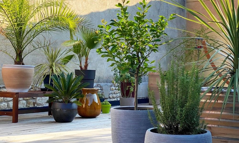 Connaissez vous le pot-scaping ?