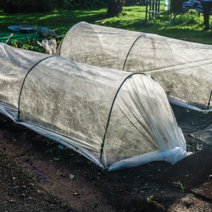 Préparer son potager pour l'hiver
