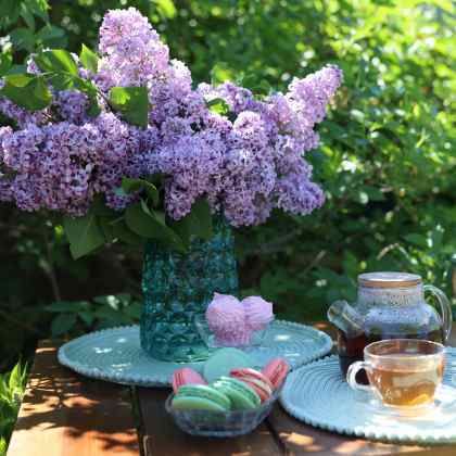 Que faire au jardin en avril ?