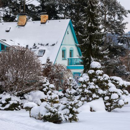 Que faire au jardin en décembre ?