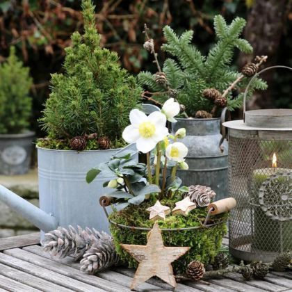 Que faire au jardin en décembre ?