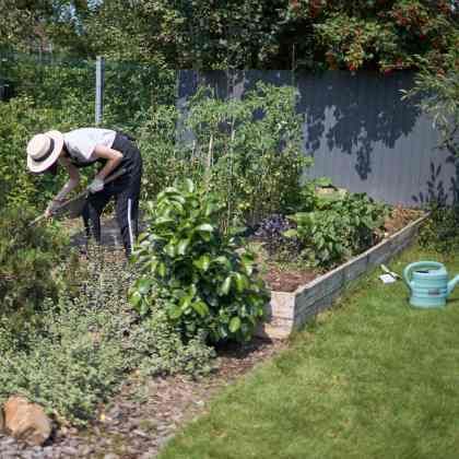 Le calendrier du potager  - Juin