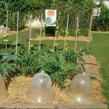 Quel paillage pour le potager ?